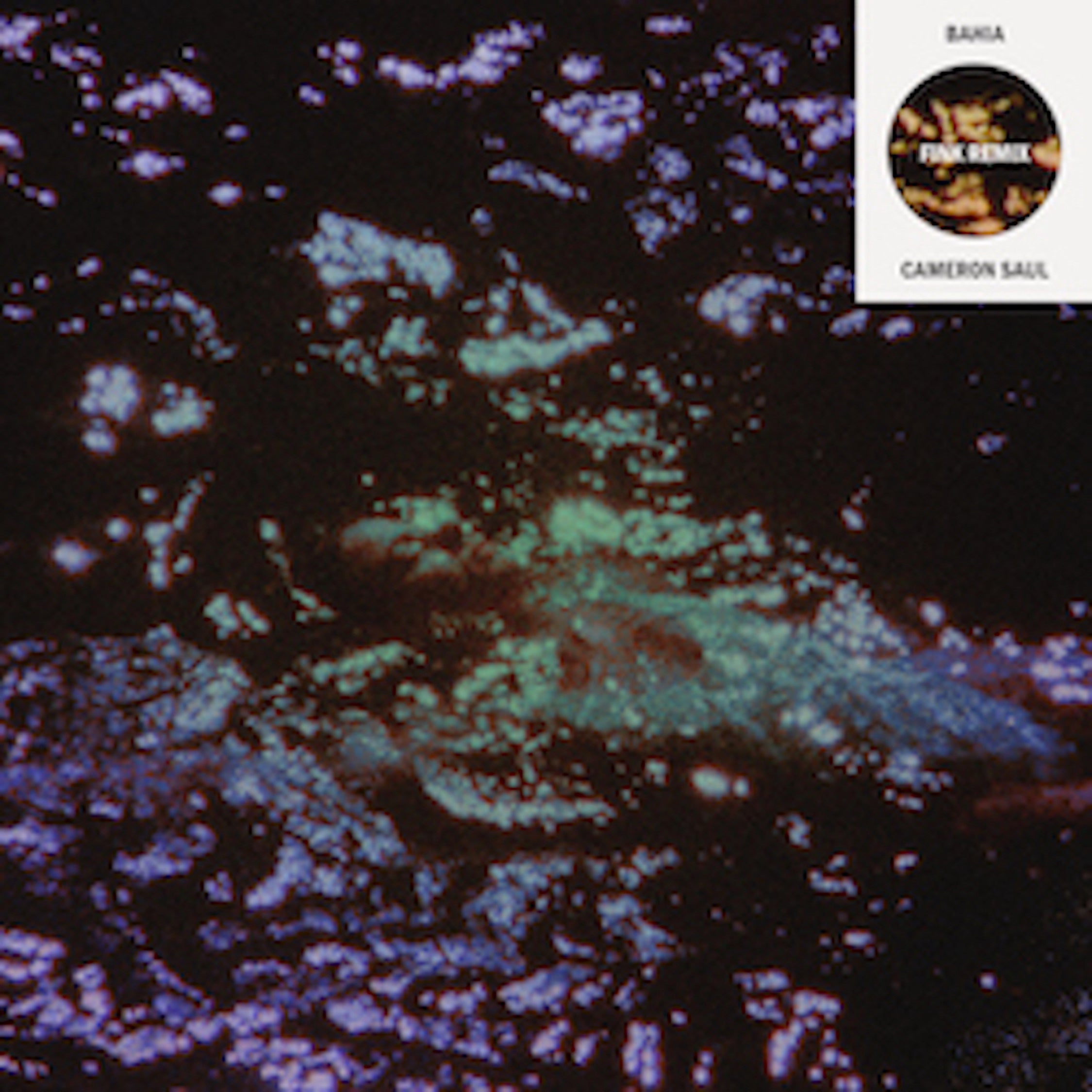 Bahia (Fink Remix)