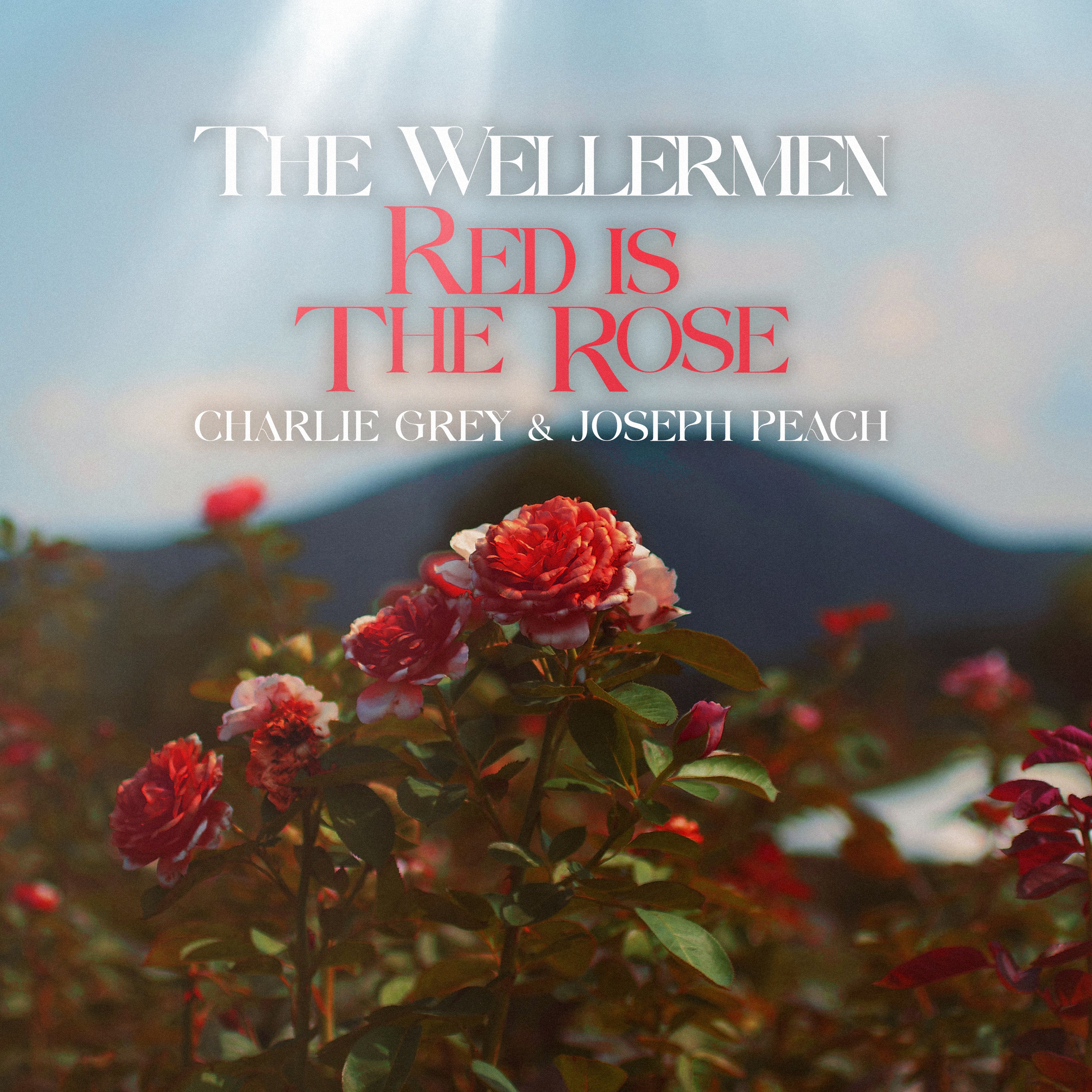 Red Is The Rose (Charlie Grey & Joseph Peach)